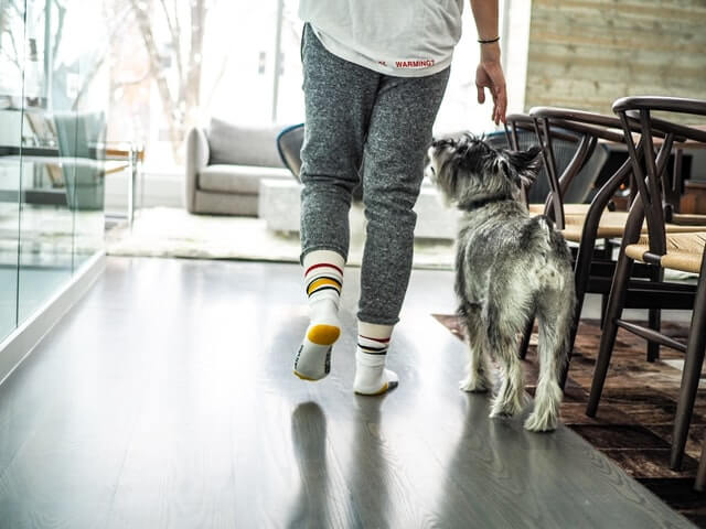 Person in grey jogging bottoms and white stripy socks walking though a living room with a grey dog beside them | Why Do People Hire a House Sitter? | bucketlistmylife.com